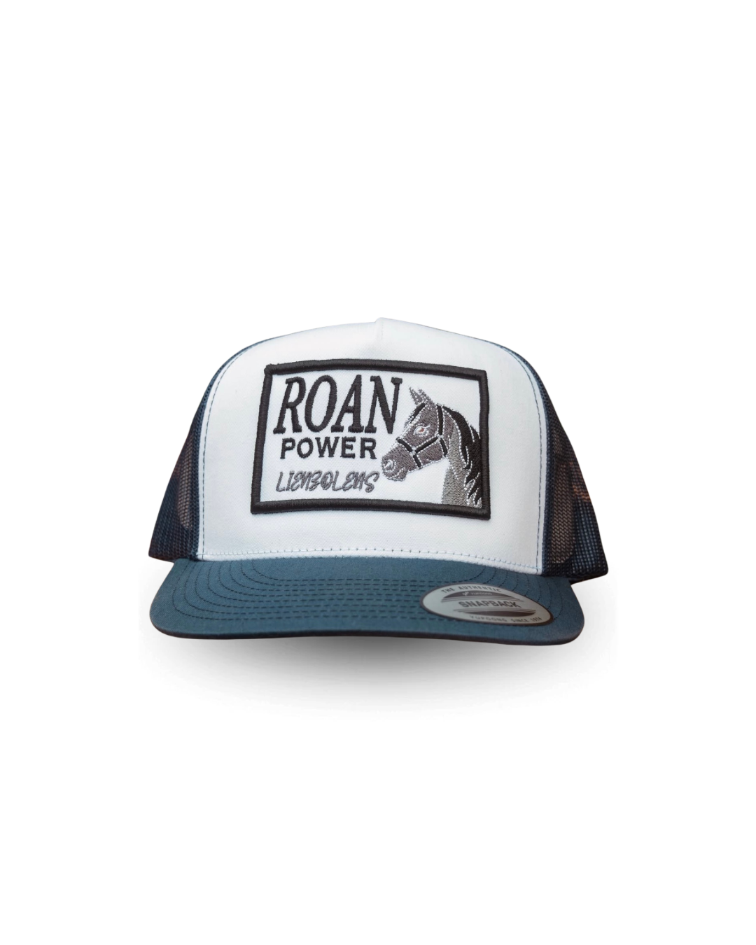 Lienzo Lens "ROAN POWER"