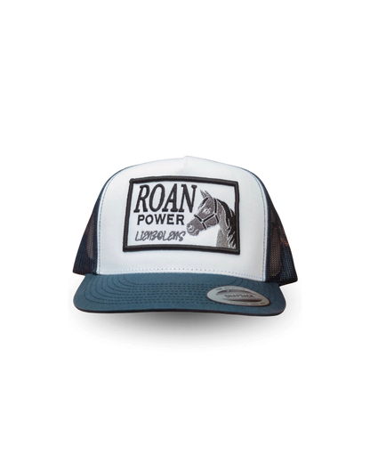 Lienzo Lens "ROAN POWER"