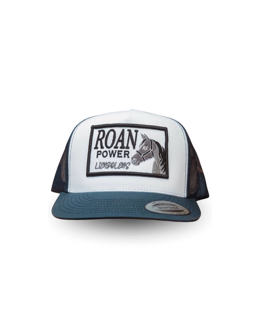 Lienzo Lens "ROAN POWER"