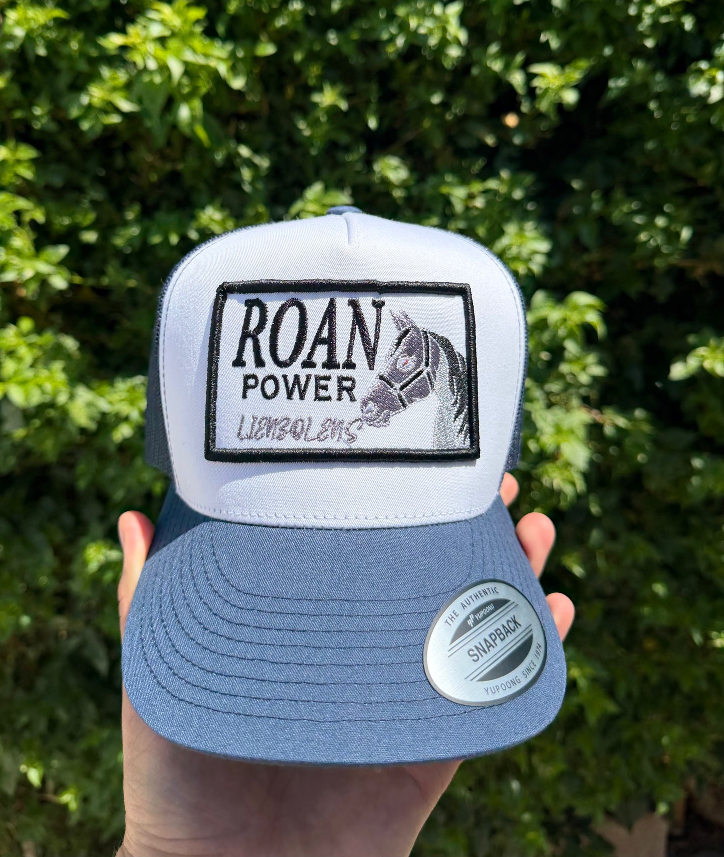 Lienzo Lens "ROAN POWER"